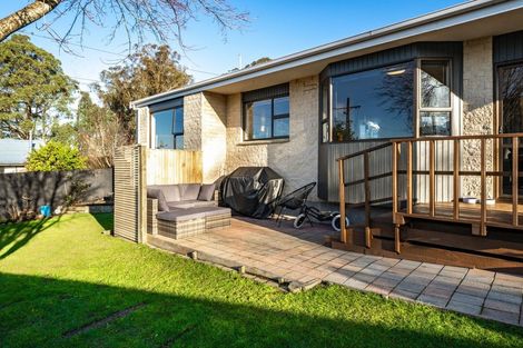 Photo of property in 162 Brockville Road, Brockville, Dunedin, 9011