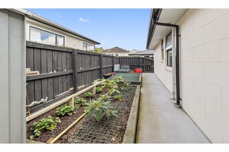 Photo of property in 56a Douglas Street, Highfield, Timaru, 7910