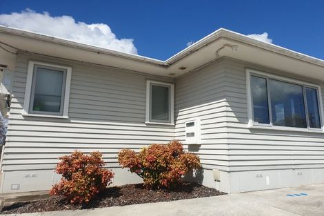 Photo of property in 49 Mount View Road, Melville, Hamilton, 3206