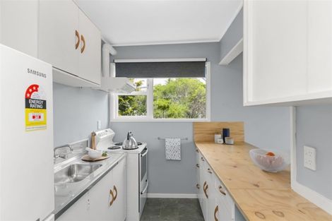 Photo of property in 49 Huntingdon Street, Northland, Wellington, 6012