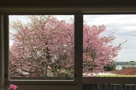 Photo of property in 194 Cook Street, Howick, Auckland, 2014