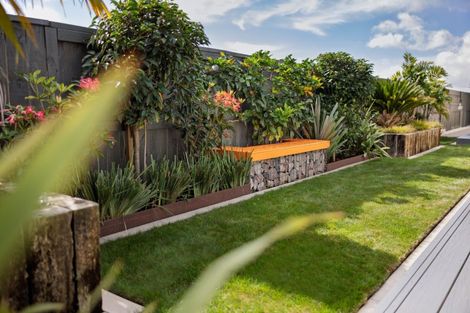 Photo of property in 11 Sarcodia Place, Papamoa Beach, Papamoa, 3118