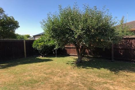 Photo of property in 19 Montclare Avenue, Ilam, Christchurch, 8041