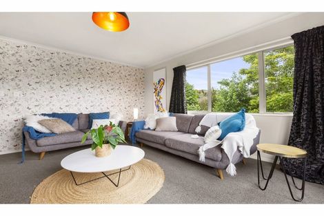 Photo of property in 25 Cashmere Place, Flagstaff, Hamilton, 3210