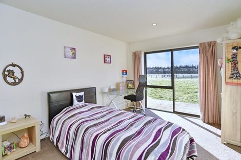 Photo of property in 230 Purchas Road, Glasnevin, Amberley, 7482