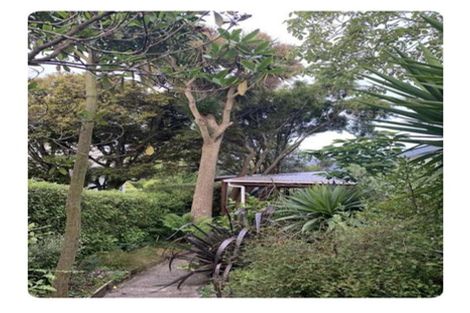 Photo of property in 22 Erin Street, Roslyn, Dunedin, 9010