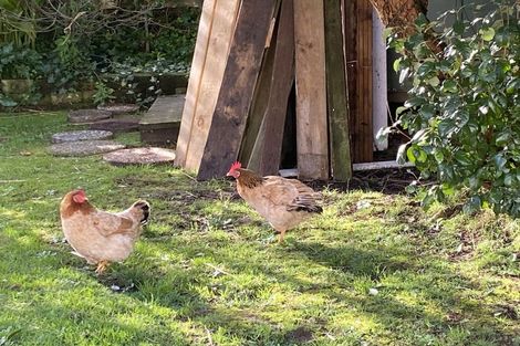 Photo of property in 266 Whitaker Street, Te Aroha, 3320