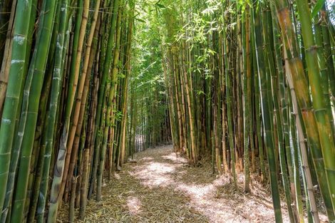 Photo of property in 636 Kaitemako Road, Welcome Bay, Tauranga, 3175