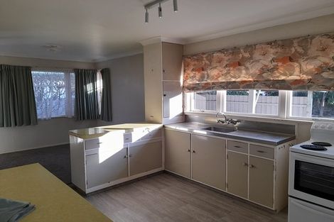 Photo of property in 90 Wood Street, Takaro, Palmerston North, 4410