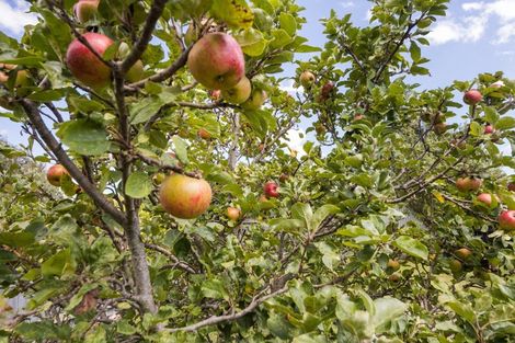 Photo of property in 60 Haydon Street, Roslyn, Palmerston North, 4414