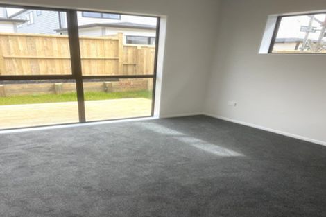 Photo of property in 17 Cyperus Street, Flat Bush, 2019