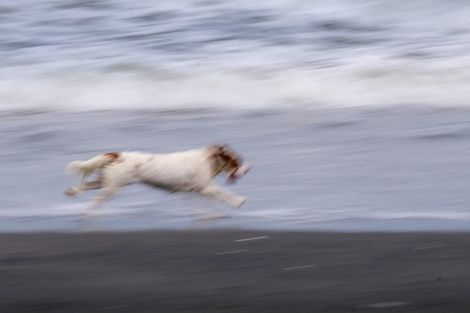 Photo of property in 29a Golf Vue Place, Castlecliff, Whanganui, 4501