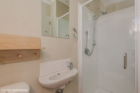 Photo of property in 15 Hardie Street, Hokowhitu, Palmerston North, 4410