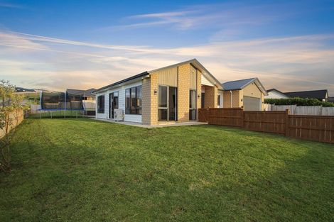 Photo of property in 16 Catherine Mclean Road, Pukekohe, 2120