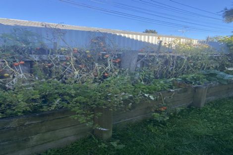 Photo of property in 21b Ward Street, Trentham, Upper Hutt, 5018