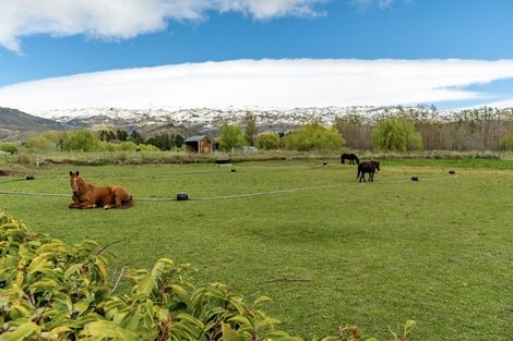 Photo of property in 202 Blackman Road, Blackmans, Alexandra, 9391