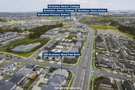 Photo of property in 399 Ormiston Road, Flat Bush, Auckland, 2019