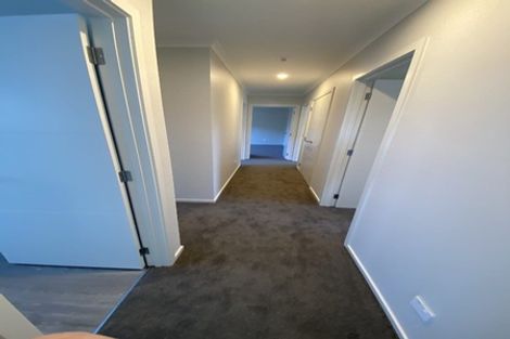 Photo of property in 17 Oakdale Grove, Richmond, 7020