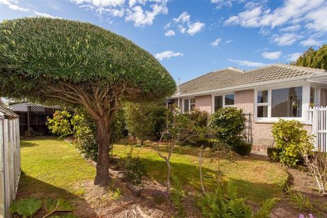 Photo of property in 4 Vardon Crescent, Shirley, Christchurch, 8061