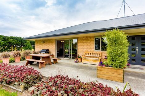 Photo of property in 149 Karanga Road, Dunsandel, Leeston, 7682