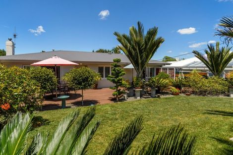 Photo of property in 19 Briarley Street, Tauranga South, Tauranga, 3112