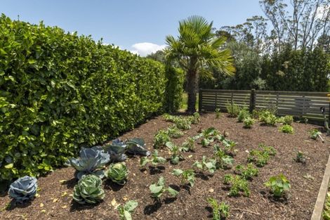 Photo of property in 126 Hamurana Road, Omokoroa, 3114