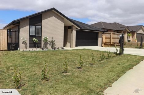 Photo of property in 20 Peter Bourne Drive, Pokeno, 2402