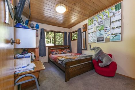 Photo of property in 219 Shaw Road, Titirangi, Auckland, 0604