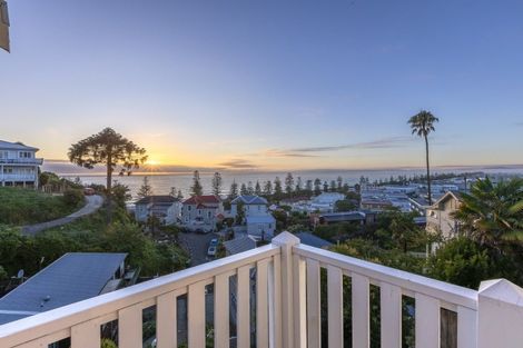 Photo of property in 20 Brewster Street, Bluff Hill, Napier, 4110