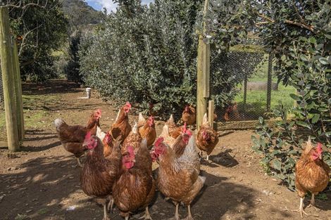 Photo of property in 1623 State Highway 14, Maungatapere, Whangarei, 0179