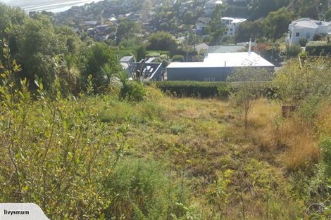 Photo of property in 149a Major Hornbrook Road, Mount Pleasant, Christchurch, 8081