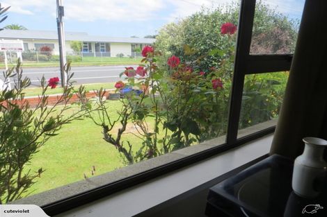 Photo of property in 21a Bowen Street, Cambridge, 3434