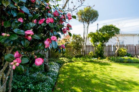 Photo of property in 6 Emlen Place, Mosgiel, 9024