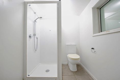 Photo of property in 100b Holloway Road, Aro Valley, Wellington, 6021