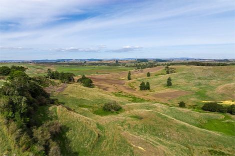 Photo of property in 376 Clark And Denize Road, Pukekawa, 2696