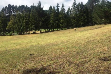 Photo of property in 160 Waipapa Road West, Waipapa, 0295