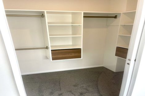 Photo of property in 17 Cyperus Street, Flat Bush, 2019