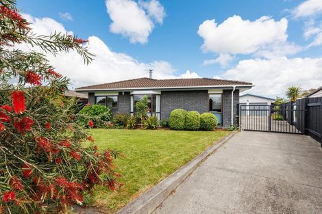 Photo of property in 53 Raglan Avenue, Cloverlea, Palmerston North, 4412