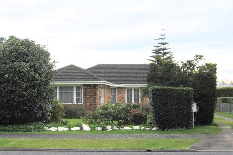 Photo of property in 207 Clarkin Road, Fairfield, Hamilton, 3214