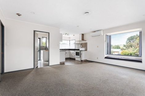 Photo of property in 114a Ohauiti Road, Hairini, Tauranga, 3112