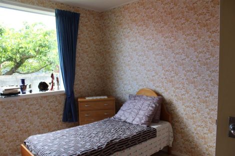 Photo of property in 16 Queen Street, Milton, 9220