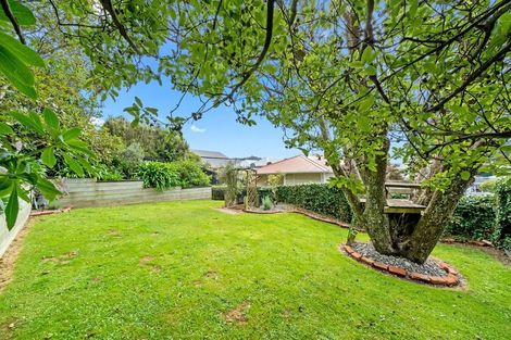 Photo of property in 37 Herald Street, Berhampore, Wellington, 6023