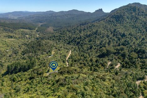 Photo of property in 820 The 309 Road, Waiau, Coromandel, 3581
