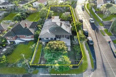 Photo of property in 1 Tiki Street, New Lynn, Auckland, 0600