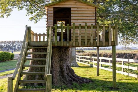 Photo of property in 296 Piako Road, Gordonton, Hamilton, 3281