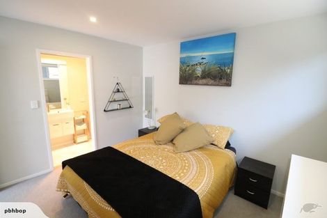Photo of property in 47b Campbell Road, Mount Maunganui, 3116