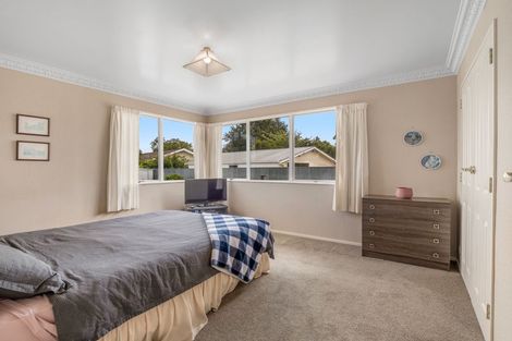 Photo of property in 263 Cambridge Avenue, Ashhurst, 4810