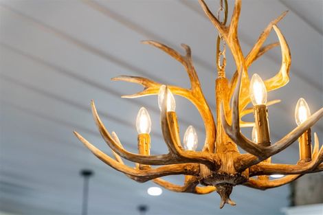 Photo of property in 13 Ash Grove, Maungaturoto, 0520