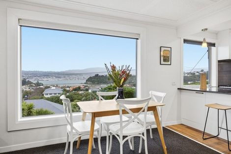 Photo of property in 21 Spottiswoode Street, Andersons Bay, Dunedin, 9013