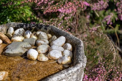 Photo of property in 7 Tapuhikura Street, Waikanae, 5036